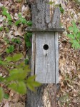Rustic birdhouse for wrens