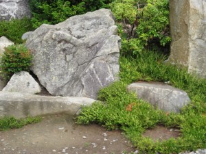 Photo of large grey stones with green plant by a path