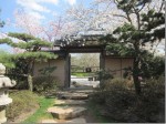 gate in wall with blooming trees