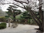 booming trees along garden path