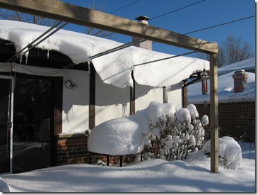 sunshine on snow-covered landscape