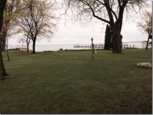 lawn and lake with blooming trees